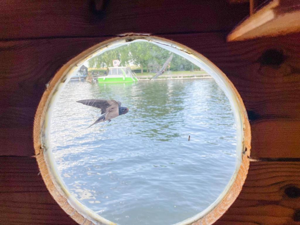 Botel Hausflossvermietung Auf Der Peene Am Kummerower In Mecklenburg Vorpommern 15 Ps *